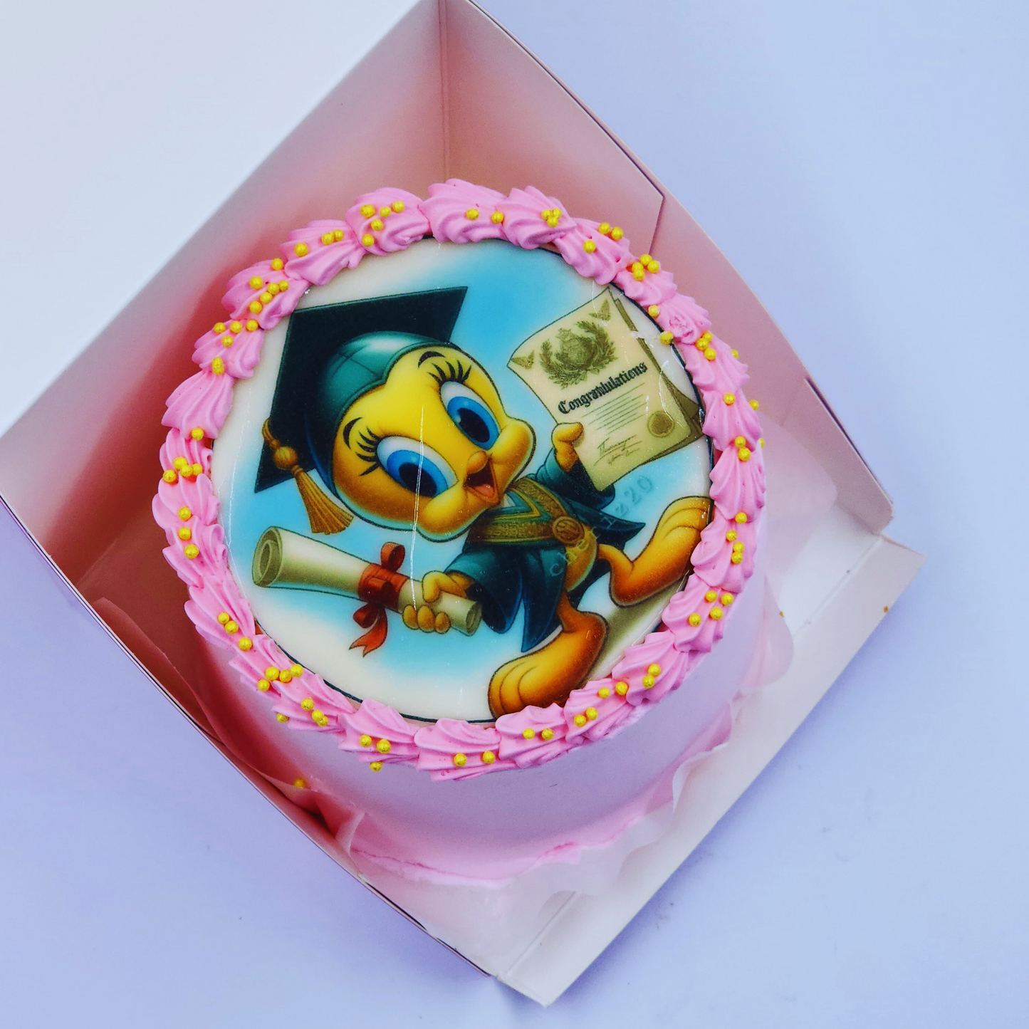 Tweety Graduation Lunch Box Cake